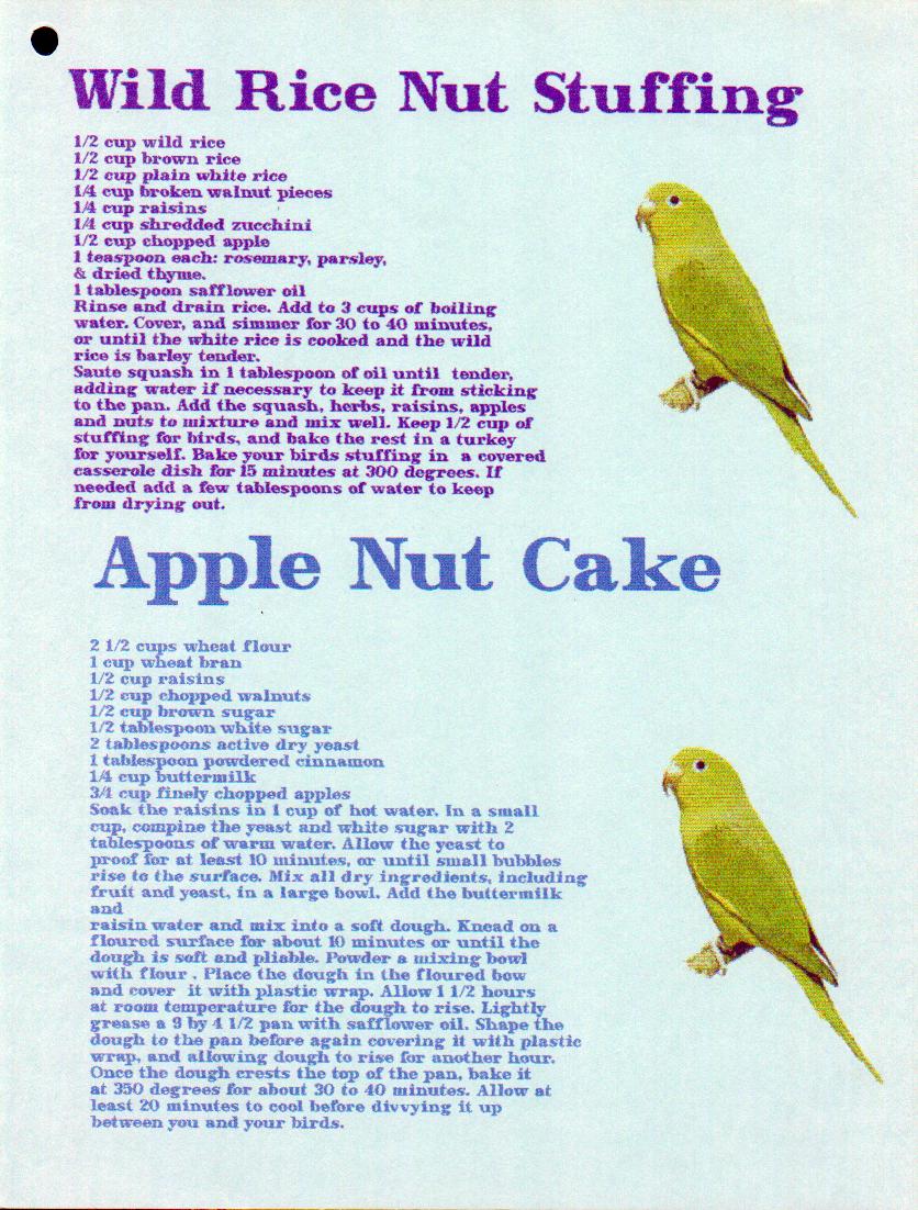 cookbookpage 11