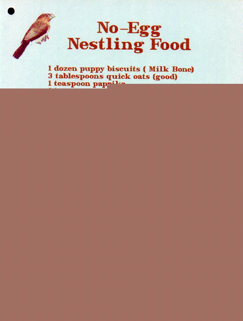 cookbookpage 13