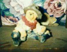 Hopalong Bear