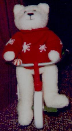 photo of a white bear sitting on a trike